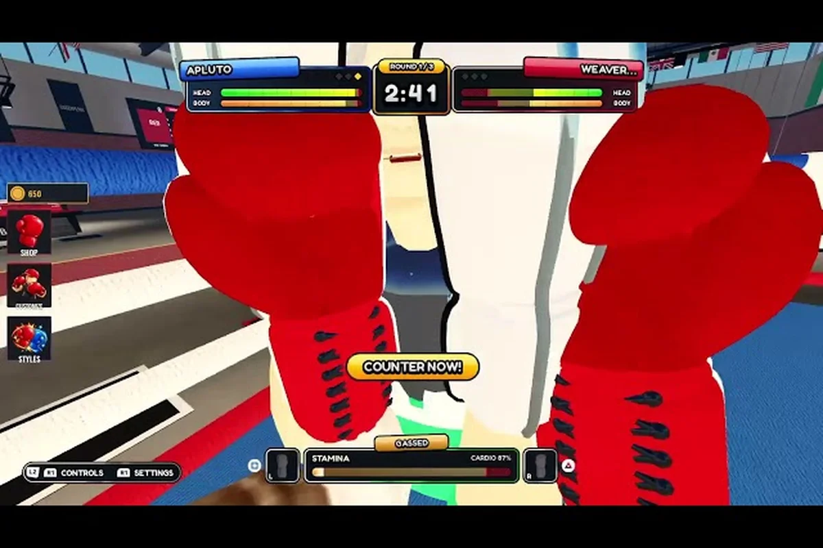 First Person Boxing Basics: Jab, Cross, Hook & Uppercut