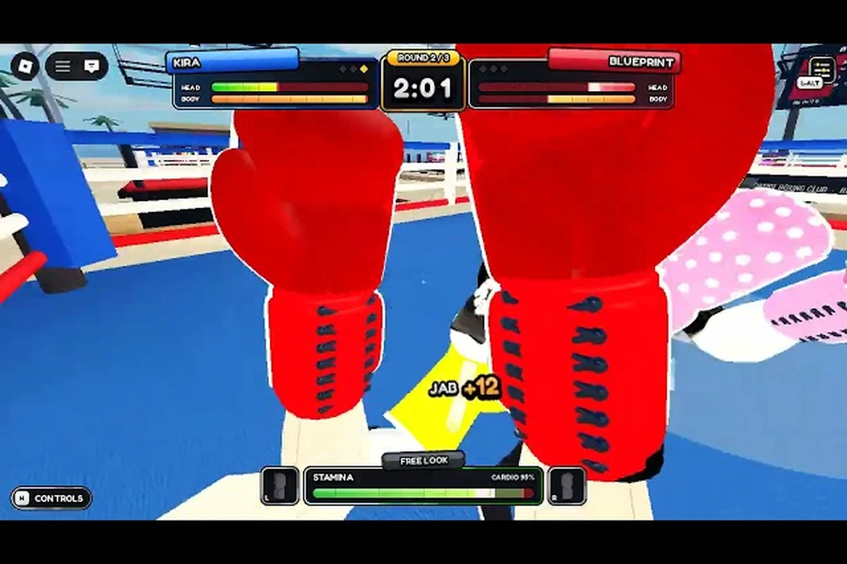 First Person Boxing Ranked Mode: Confirmed Facts & Climb Tips